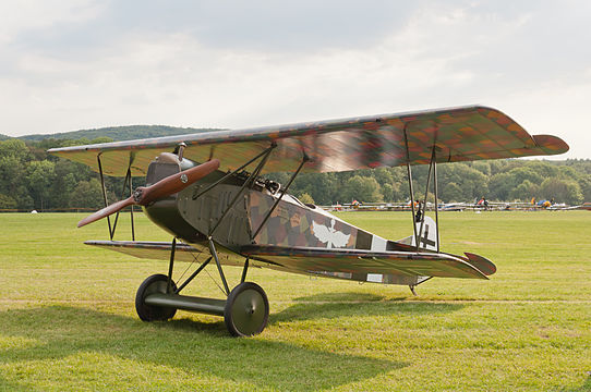 Mikael Carlson's Fokker D VII.