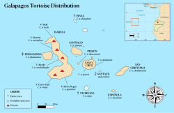 La distribución de todos los taxones de tortugas de las islas Galápagos.