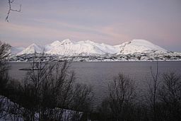 Grytøya