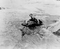 1921 - Houdini swims the niagara river in a scene from The man from beyond