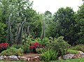 Uno de los parterres del jardín de Mariposas y Polinizadores