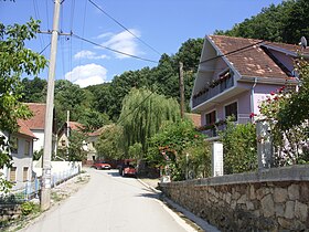 Lipovac (Aleksinac)