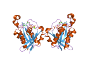 2cls: THE CRYSTAL STRUCTURE OF THE HUMAN RND1 GTPASE IN THE ACTIVE GTP BOUND STATE