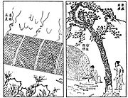 Image from the 17th-century technical document Tiangong Kaiwu (天工開物-松烟制墨法) detailing how pine is burned in a furnace at one end and its soot collected at the other for making inkstick, China.