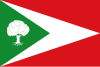 Bandeira de Tosantos