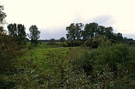 Autre aperçu du fort Crèvecœur au 25 septembre 2010.