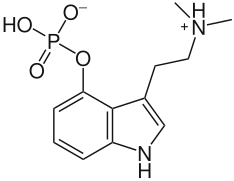 Psilocibina