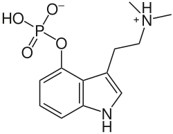 Psilosybiini