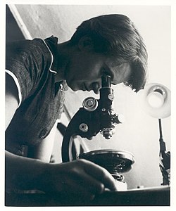 Rosalind Franklin työnsä ääressä vuonna 1955.