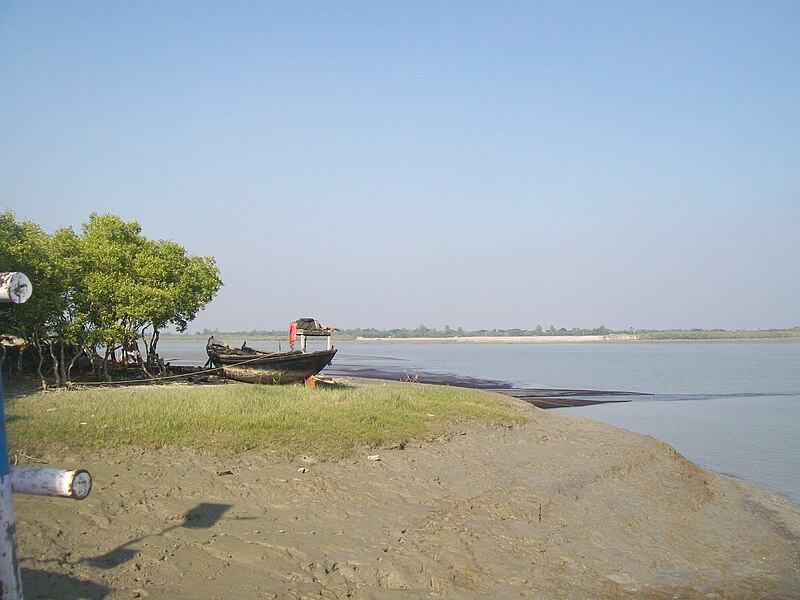 File:Sundarban Forest 01.jpg