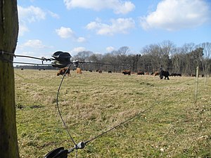 Schaijkse Heide, nabij de Voskampweg