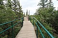 Pedestrian bridge over a small tributary of the Elbow River in the delta