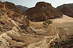 View down into a wadi on the Sinai Peninsula.