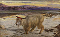 The Scapegoat label QS:Len,"The Scapegoat" label QS:Lpl,"Kozioł ofiarny" 1854, exhibited in the Lady Lever Art Gallery, Port Sunlight