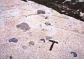 Xenoliths in granodiorite of the Alta Stock, Little Cottonwood Canyon, Utah