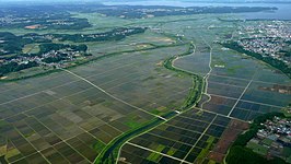 Rijstvelden in Aomori, met op de achtergrond de Takaserivier.