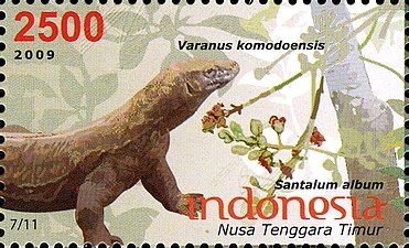 Frimärke från Timor Till höger Santalum album; till vänster Varanus komodoensis