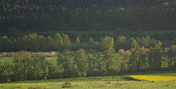 Unterhalb von Thüngen