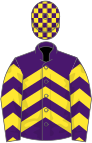 PURPLE and YELLOW CHEVRONS, check cap