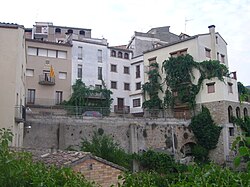 Skyline of Alòs de Balaguer