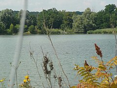 L'Étang de l'Épinoche au parc départemental.