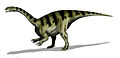 Plateosaurus