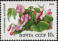 Lathyrus vernus on stamp of USSR