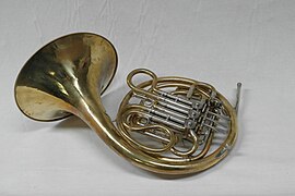 Musikinstrumenten-Museum Berlin - Doppelhorn - 1610267.jpg