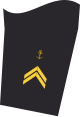 Dienstgradabzeichen eines Oberbootsmannes (70er Verwendungsreihe) auf dem Unterärmel der Jacke des Dienstanzuges für Marineuniformträger