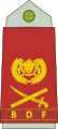 Lieutenant general[12] (Botswana Ground Force)