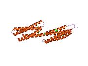 1dow: ESTRUTURA CRISTALINA DUNHA QUIMERA DE BETA-CATENINA E ALFA-CATENINA