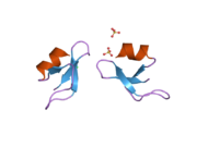 2nld: Human beta-defensin-1 (Mutant Gln11Ala)