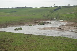 Renaturiert unterhalb von Pfersdorf, Nähe A 71