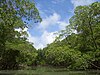 Parque Nacional do Jaú