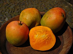 Mangga gedong gincu from Tomo.