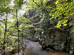 Markantes Felsband am Landrat-Lucas-Weg