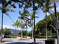 Cairns – the tropical city (view nearby the lagoon)