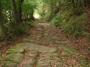 O antigo caminho do vale do Besaya em Pesquera