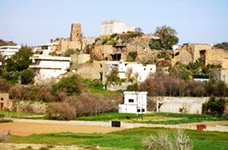 منظر عام