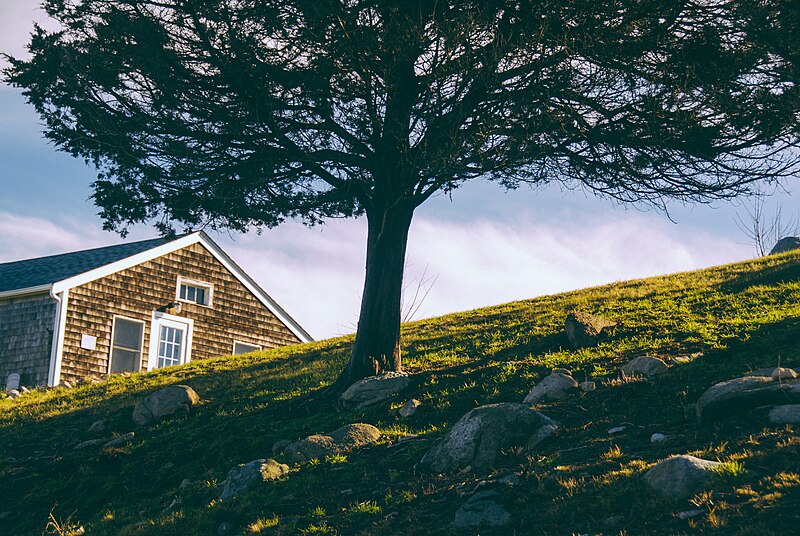 File:House on a hill (Unsplash).jpg