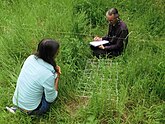 Twee ecologen die een releve maken in een transect voor mierenonderzoek