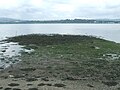 Langbank West Crannog