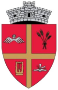 Wappen von Belinț