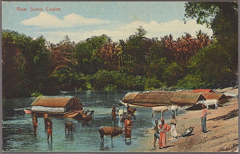 File:River scene, Ceylon (NYPL Hades-2359900-4044665).jpg