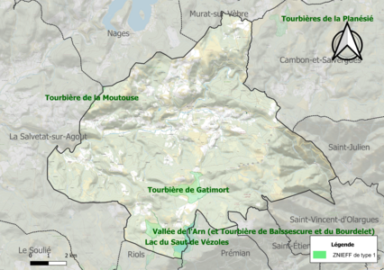 Carte des ZNIEFF de type 1 sur la commune.