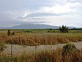 Dried lagoon