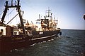 Atlantik-Supertrawler "Hans Marchwitza" 1990