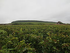 Colline de Corton, vue du château.