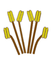 Tetradynamisch (tetradynamous)