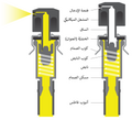 العربية